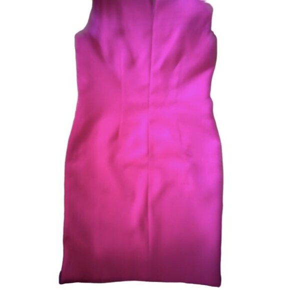 Kasper Women's Sleeveless Sheath Dress Size 8 Hot Pink Textured Fabric Zipper Ba - Picture 3 of 5
